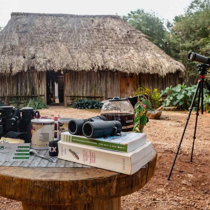 Xocén Birding Trail Ecolodge